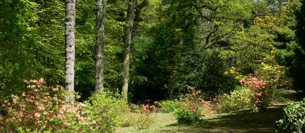 Bois des Moutiers (204) Mai 2012